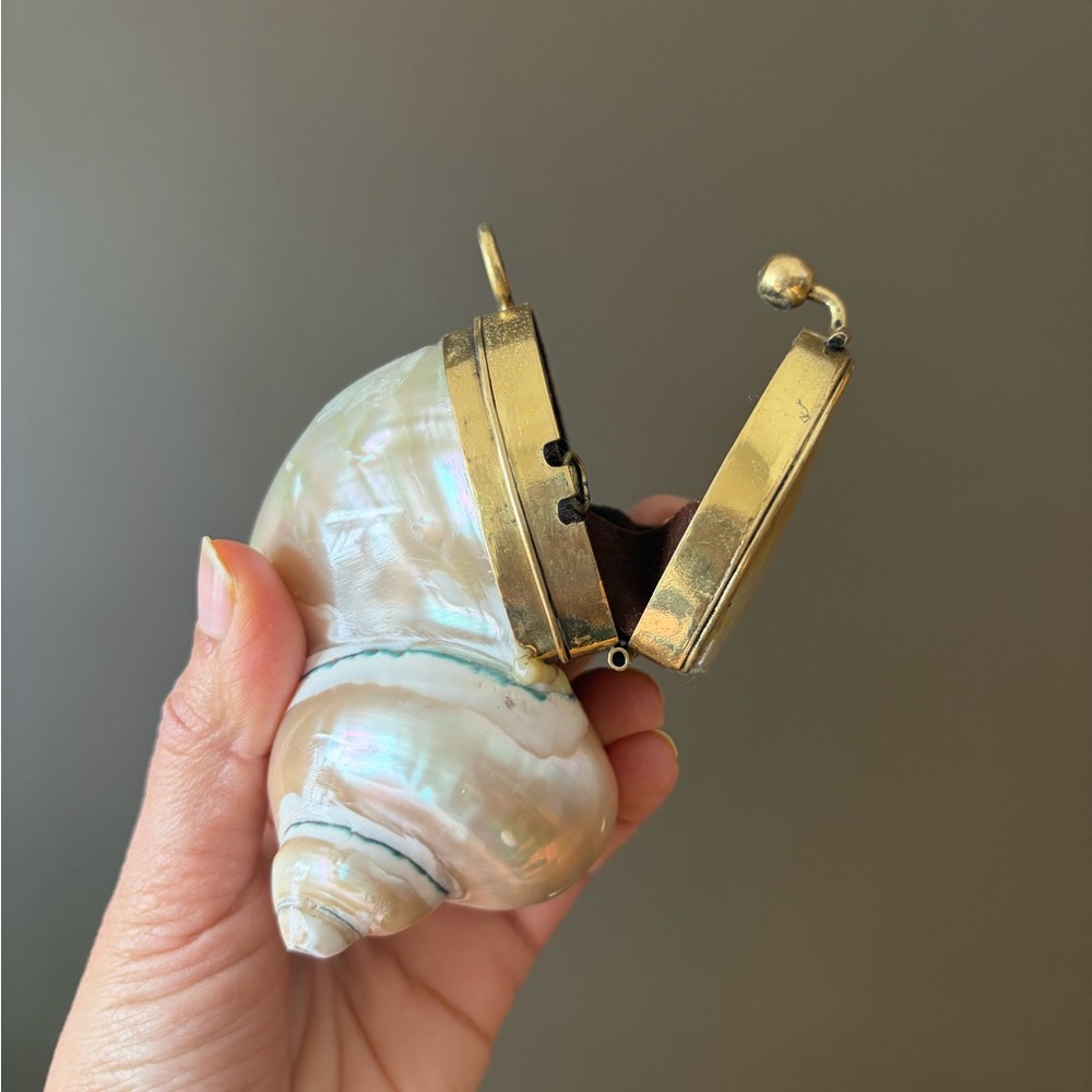 Gold and Cream Shell Clutch - Picture 3 of 16